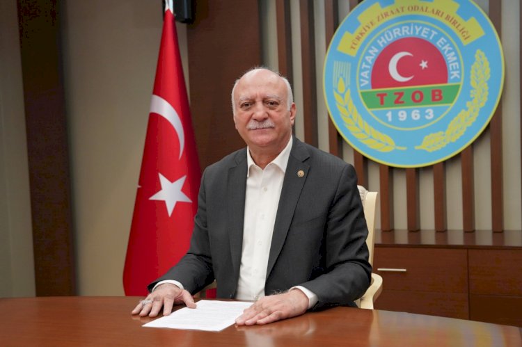 Aylık ve yıllık girdi fiyatlarındaki değişim