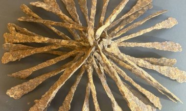 Norveç’te Bir Kişi Evini Temizlerken Viking Eserleri Buldu