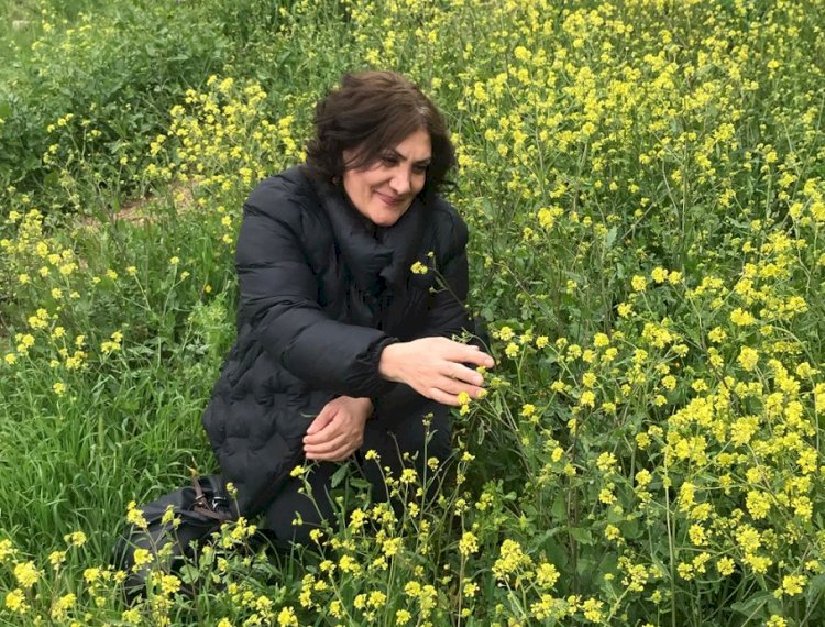 Ben Bahardan Hiç Vazgeçmedim