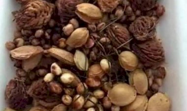 ÇEKİRDEKLERİ ÇÖP TORBASINA KOYMAYIN !!! TEMA VAKFI SESLENİYOR