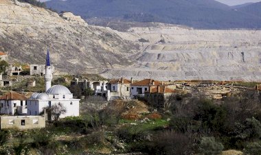 Milaslılar ormanlarının kömür yataklarına dönüşmesini istemiyor