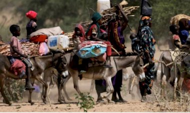 Çatışmaların sürdüğü Sudan'da tahliye edilmeyen personele 'Nöbetçi yok' açıklaması