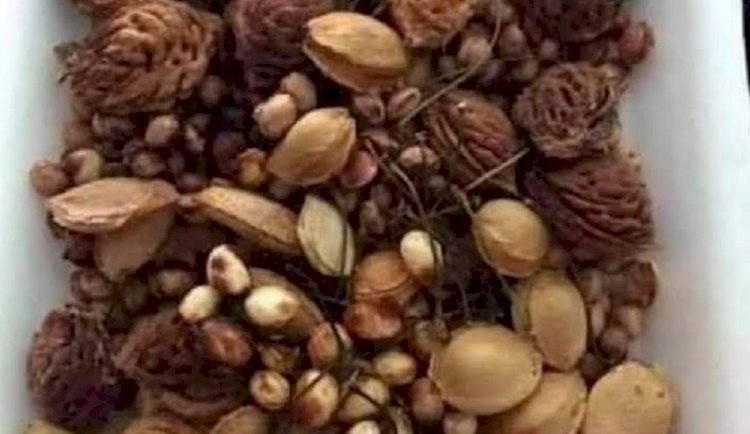 ÇEKİRDEKLERİ ÇÖP TORBASINA KOYMAYIN !!! TEMA VAKFI SESLENİYOR
