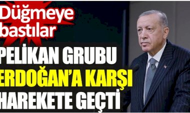 Pelikan grubu Erdoğan’a karşı harekete geçti. Düğmeye bastılar