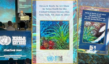 Sanatçı Selva Özelli’nin "Balinalar & Resifler" Sergisi Uluslararası Platformda