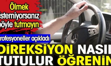 Direksiyon nasıl tutulur öğrenin. Profesyoneller açıkladı.