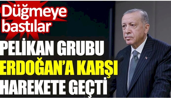 Pelikan grubu Erdoğan’a karşı harekete geçti. Düğmeye bastılar