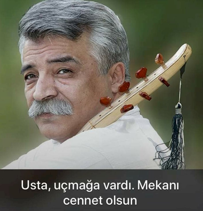 Demircinin İtleri