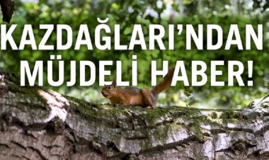 Kaz Dağları’ndan Müjdeli Haber!