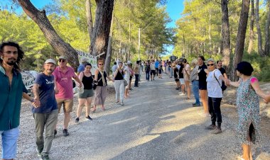 Akbelen Ormanı İçin Geç Değil!