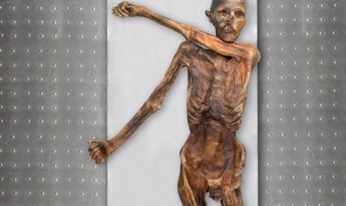 Ötzi’nin Anadolu Kökenli ve Koyu Tenli Olduğu Ortaya Çıktı