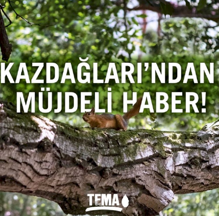 Kaz Dağları’ndan Müjdeli Haber!