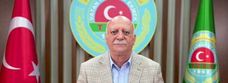 Mısırda hasat başladı