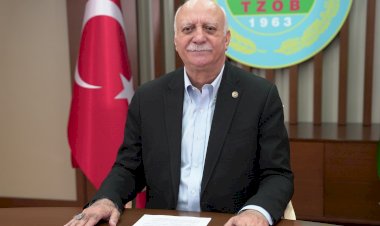 Kahverengi kokarca zararlısı önemli bir tehdit haline geldi