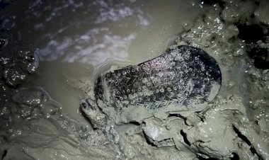 Romalı Bir Temizlikçi Su Kuyusunda Sandaletini Düşürmüş