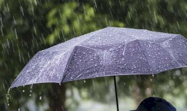 2 Kasım 2023 hava durumu raporu... Bugün hava nasıl olacak?