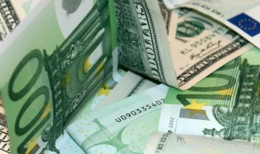TL'nin değer kaybı büyüyor: Dolar ve eurodan tarihi rekor
