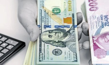 Dolar mı TL mi kazandıracak? Avrupa'nın en büyük yatırım şirketi kararını açıkladı: Bunu kimse beklemiyordu