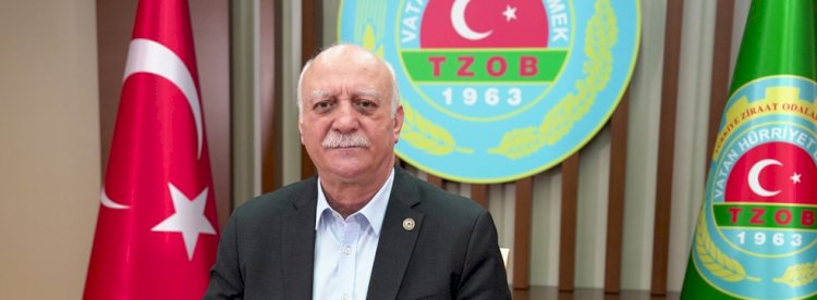 Zeytinyağında taklit ve tağşiş devam ediyor