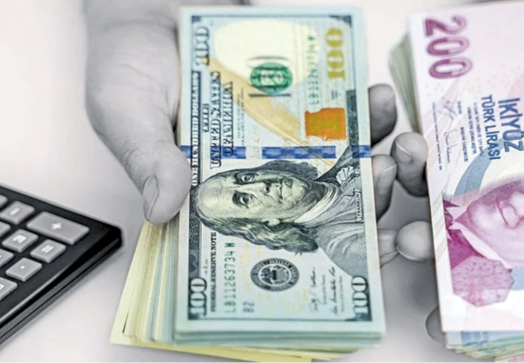 Dolar mı TL mi kazandıracak? Avrupa'nın en büyük yatırım şirketi kararını açıkladı: Bunu kimse beklemiyordu