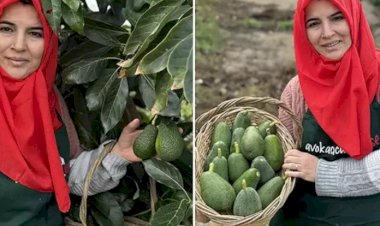 Kaçarak evlendiği kocasıyla işe girdi köşelik oldu!