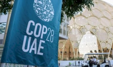 Türkiye COP28 zirvesinde istediğini elde etti mi?