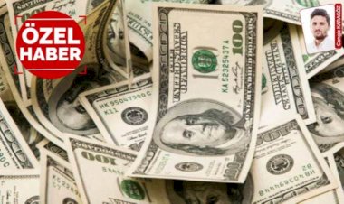 Bir Seçil Erzan vakası daha! 100 milyon dolarlık 'vurgun' iddiası