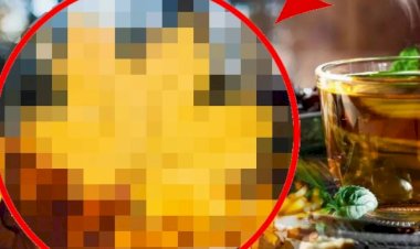 Bu ağacın yaprakları resmen şifa saçıyor! Kaynatıp içen hastane yüzü görmüyor...