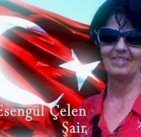 ŞİİR DALGALARI