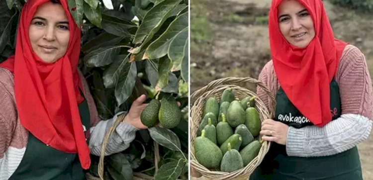 Kaçarak evlendiği kocasıyla işe girdi köşelik oldu!