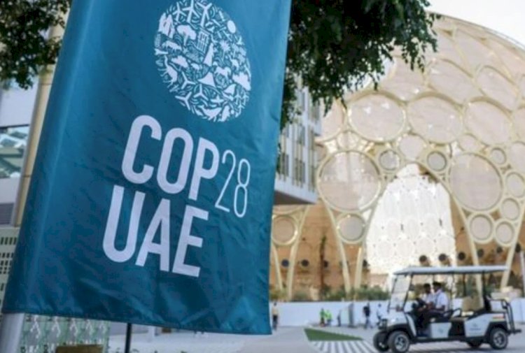 Türkiye COP28 zirvesinde istediğini elde etti mi?