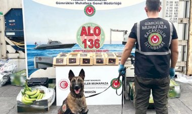Bir gemi dolusu soru