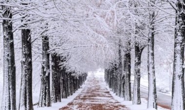 Meteoroloji açıkladı: 9 Ocak 2024 hava durumu raporu...