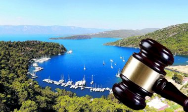 Danıştay'dan yaşam savunucuları için emsal karar: Kentinize sahip çıkabilirsiniz