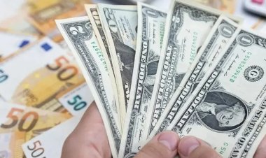 Türk Lirası'nda değer kaybı sürüyor: Dolar yine rekor kırdı