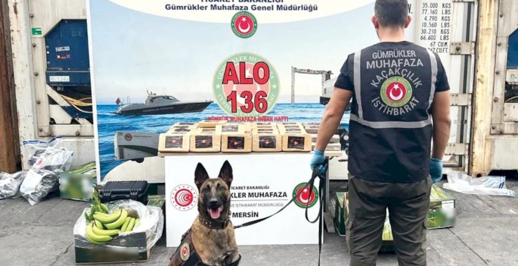Bir gemi dolusu soru