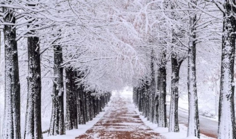 Meteoroloji açıkladı: 9 Ocak 2024 hava durumu raporu...