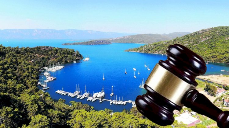 Danıştay'dan yaşam savunucuları için emsal karar: Kentinize sahip çıkabilirsiniz