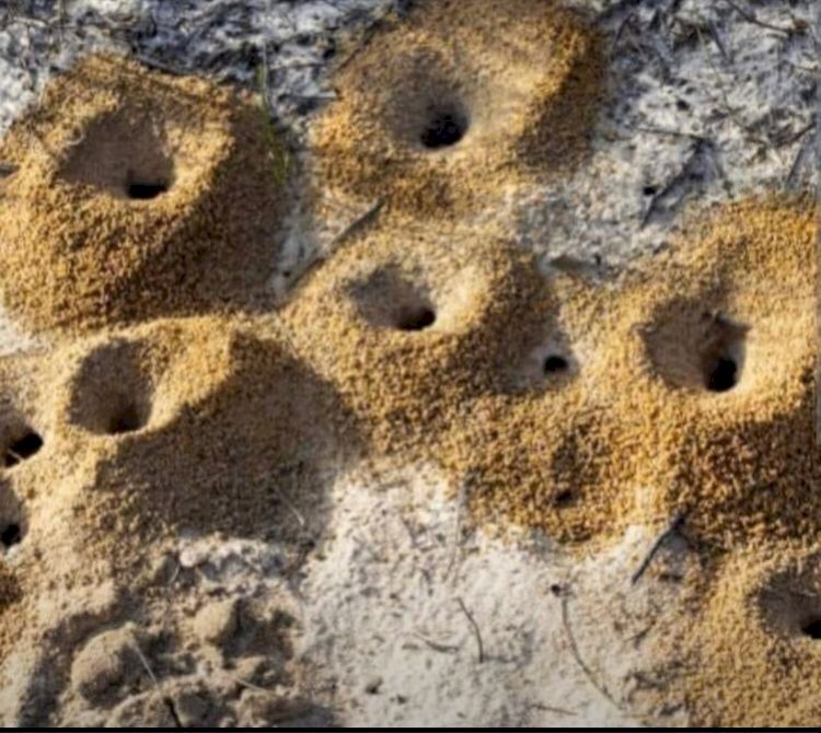 TECRÜBE,MERHAMET VE VİJDAN