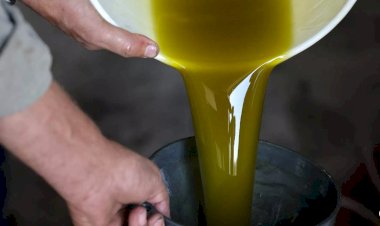 Araştırma: Her gün zeytinyağı tüketmek bunamadan ölüm riskini yüzde 28 azaltabilir