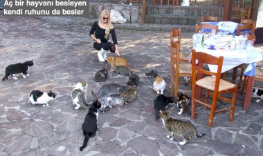 TARİHİN SAYFALARINDA İNSANLAR VE KEDİLER