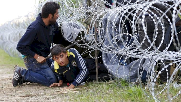 ABD'ye kaçak yollarla giden Türklerin sayısı 50 bini buldu: Türkler de dikenli telleri dinlemedi