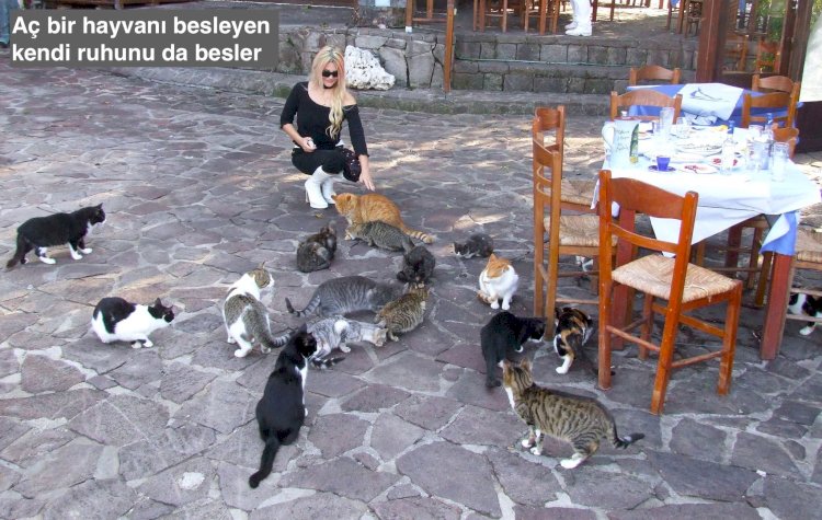 TARİHİN SAYFALARINDA İNSANLAR VE KEDİLER