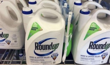 Bayer, Türkiye'de de satılan yabani ot ilacı Roundup için davacılara 10,9 milyar dolar ödeyecek