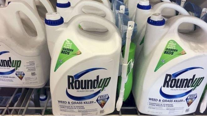 Bayer, Türkiye'de de satılan yabani ot ilacı Roundup için davacılara 10,9 milyar dolar ödeyecek
