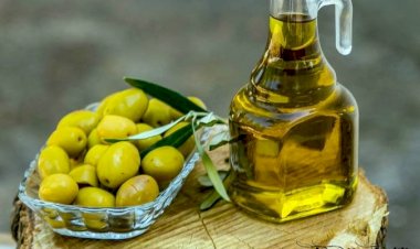 Zeytin ve organik sektörü İzmir’de buluşuyor