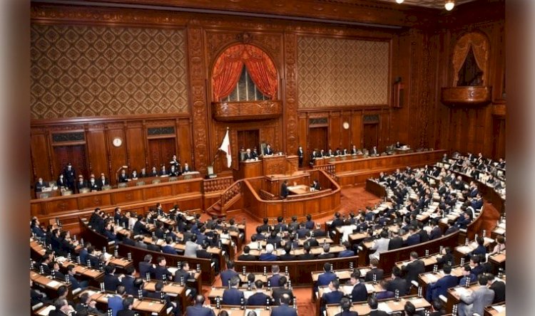 Japonya Temsilciler Meclisi'nden PKK kararı: 'Dikkatle izlememiz gerekiyor...'