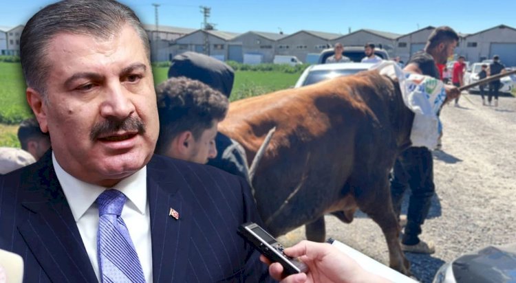 Bakan Koca duyurdu: Kurban kesimi sırasında 16 bin kişi yaralandı