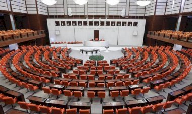 İYİ Parti'den TBMM'ye 'Bozkurt' teklifi: Ulusal sembol olarak tanınsın