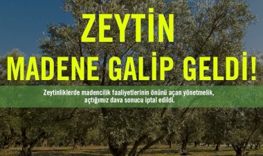Zeytin Madene Galip Geldi